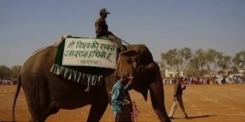 दुनिया की सबसे उम्रदराज हथिनी वत्सला सुपुर्दे खाक, CM एवं केन्द्रीय मंत्री ने दी श्रद्धांजलि