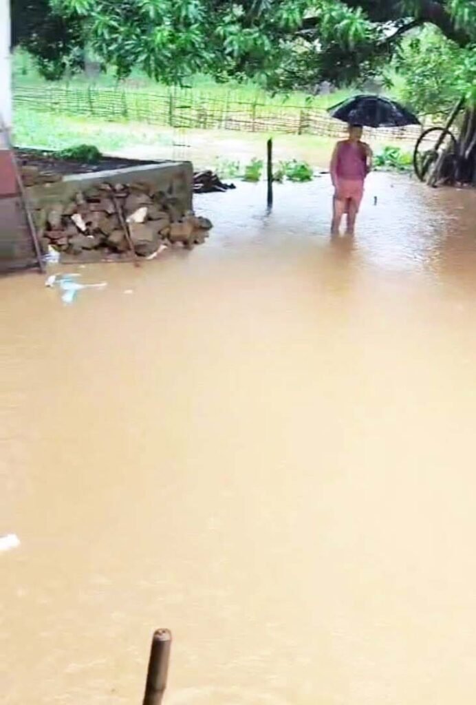 चितरंगी में बाढ़: सोन-गोपद उफान पर, 29 गांव में अलर्ट