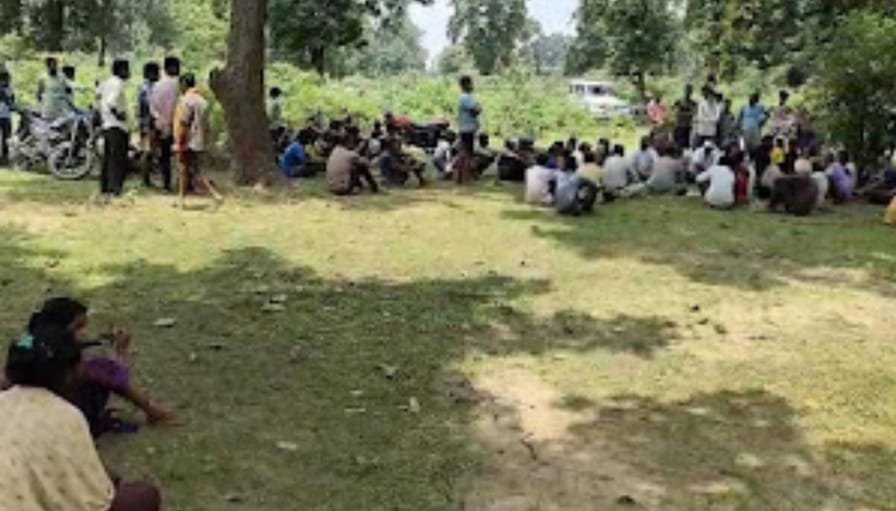 लकड़ी काट रहा युवक पेड़ से गिरा, डगाल पेट में घुसी, मौत