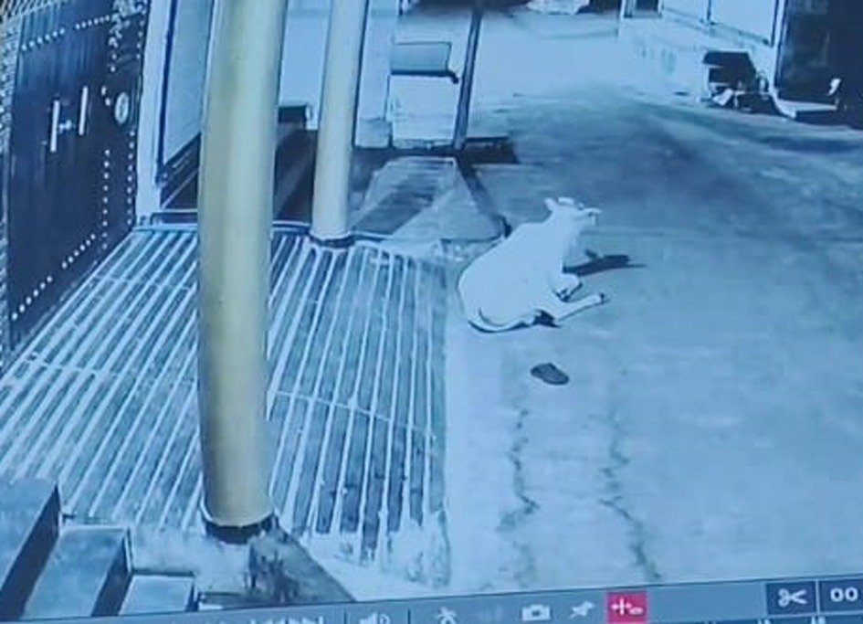 नकाबपोश बदमाश ले उड़े गांव से चार बाइक 