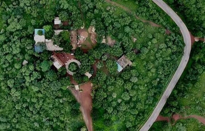 युवक और युवती की पेड़ से लटकी बॉडी मिली