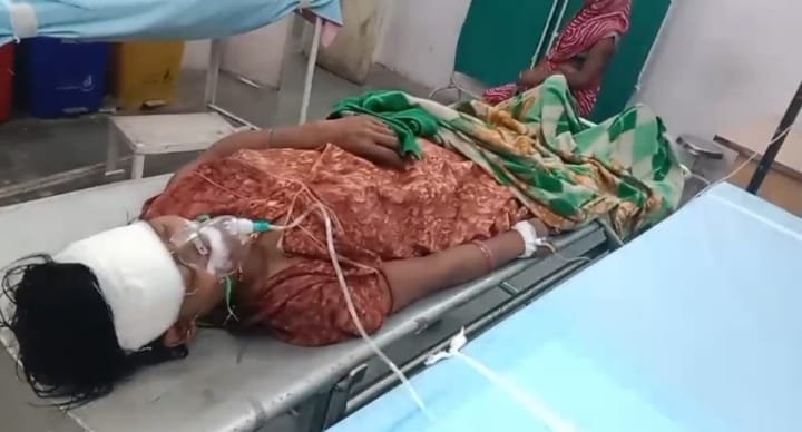 शराबी बेटे ने की मां की हत्या, गर्भवती पत्नी गंभीर घायल