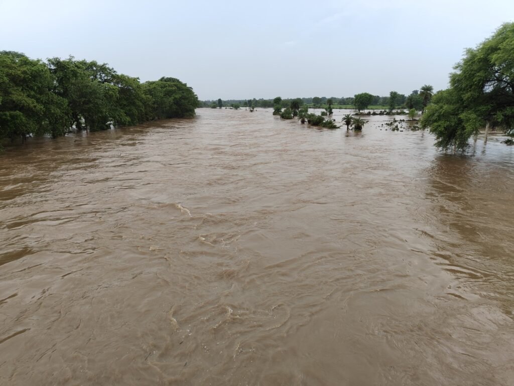 झमाझम बारिश से नीमच सिंगोली सहित ग्रामीण क्षेत्रों के मार्ग बंद 