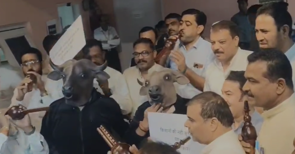 भैंस के सामने बीन बजा कांग्रेस ने जताया विरोध
