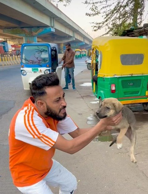 आपत्ति: छोटे श्वान को गर्दन से पकड़ रील बनाई, शिकायत पहुंची पुलिस और वेलफेयर बोर्ड