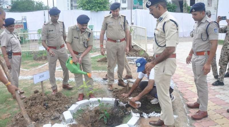 हरियाली महोत्सव के अतंर्गत 7 जुलाई तक मन रहा पौधारोपण सप्ताह