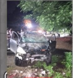 कार सवार शराबियों का आतंक, 5 गौवंश को रौंदा