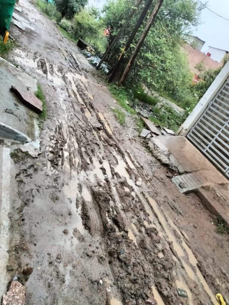 वार्ड 4: वीआईपी कॉलोनी में सड़क पर कीचड़,गलियों की हालत भी खराब