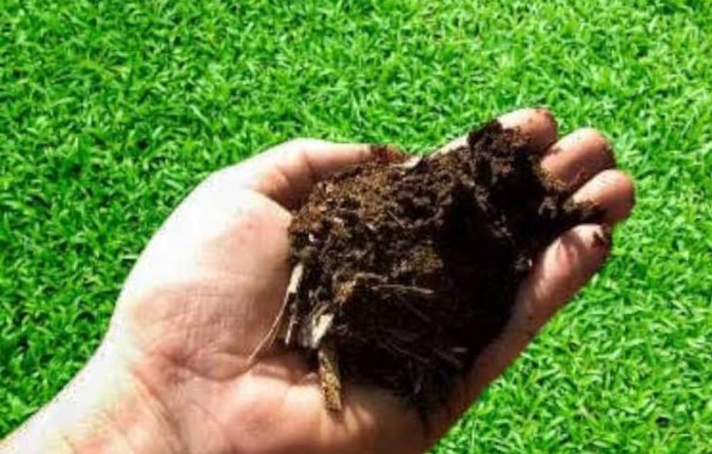 अब तहसील कार्यालय से भी जारी होंगे खाद के लिए टोकन