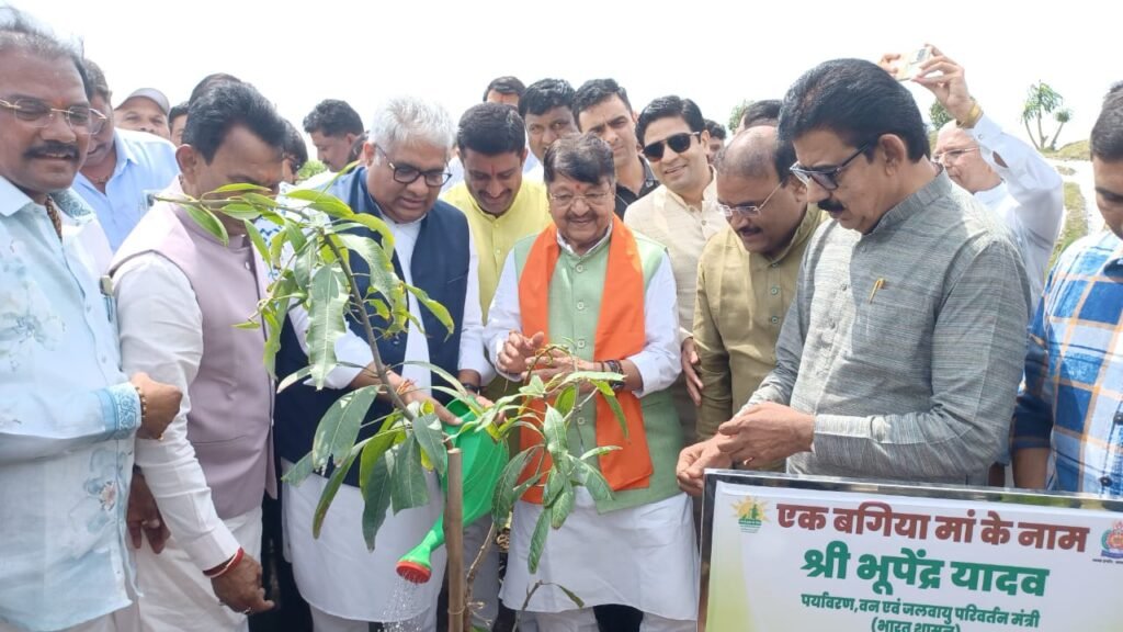 पर्यावरण को कांक्रीट जंगल से हो रहा नुकसान