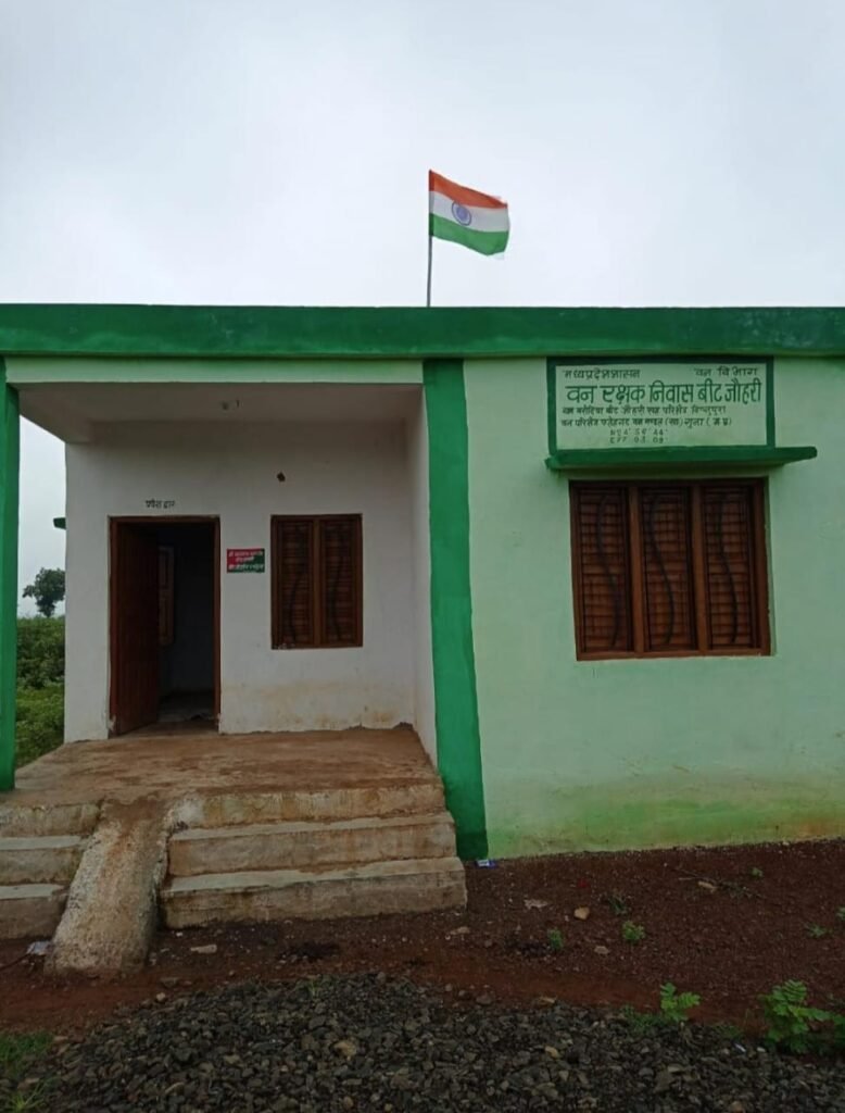 बमोरी: फतेहगढ़ वन परिक्षेत्र में अतिक्रमण और भ्रष्टाचार के आरोपों से हड़कंप, विभाग मौन