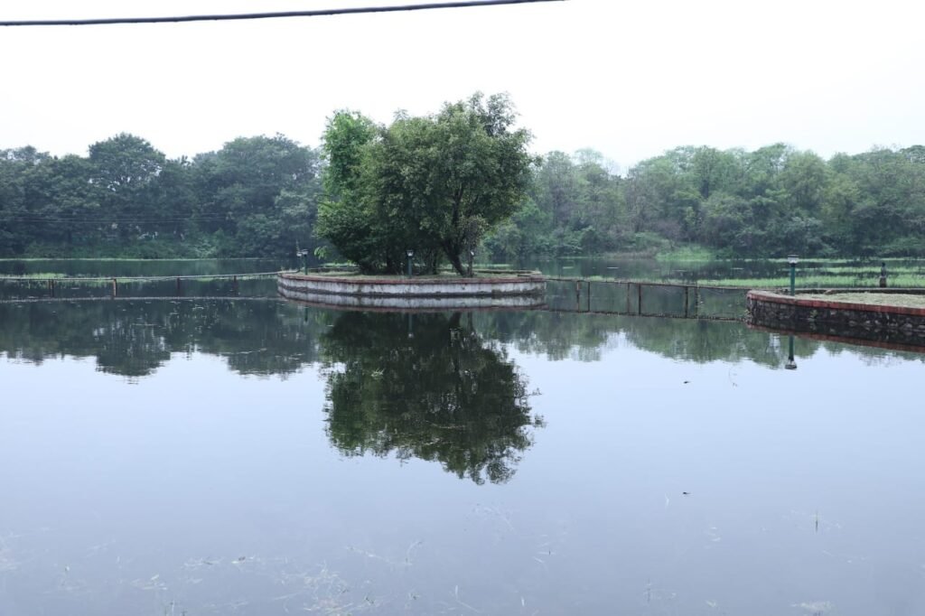 एक माह पहले ही जलपरी हुई  लबालब, अगस्त के अंतिम सप्ताह तक आती थी स्थिति