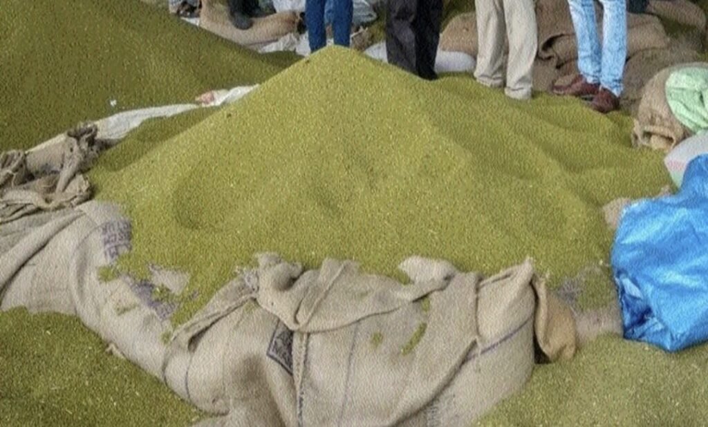 एक केंद्र और बना, अब 12 केंद्रों पर होगी मूंग व उड़द खरीदी