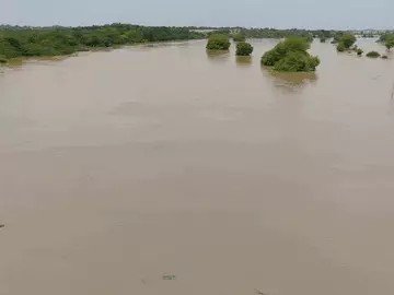 गोहद में बेसली डैम ओवरफ्लो, कई गांवों में पानी भरा