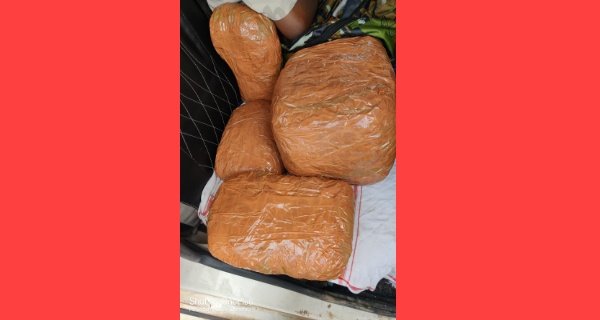 गांजा तस्कर गिरफ्तार