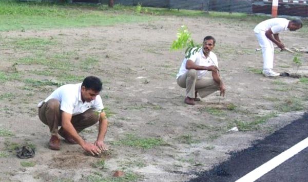 सीमा सुरक्षा बल के मुख्यालय में किया गया पौधारोपण