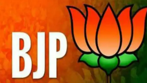 राहुल का बयान लोकतंत्र को कमजोर बनाने वाला : भाजपा