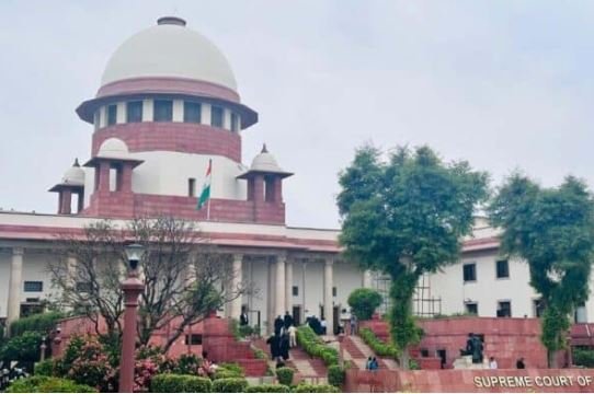 दिल्ली-एनसीआर से आवारा कुत्ते जल्द हटाएं, नसबंदी करें: सुप्रीम कोर्ट