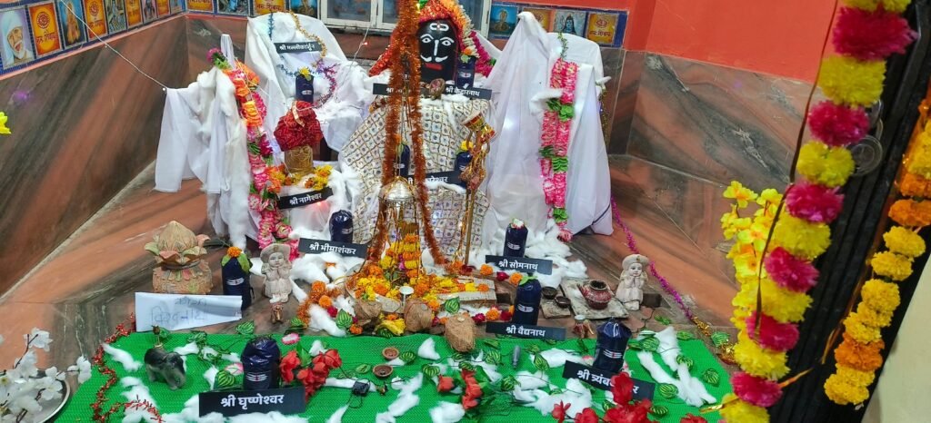 श्री सर्वेश्वर महादेव मंदिर में बारह ज्योतिर्लिंगों के रूप में मनमोहक आकर्षक श्रृंगार