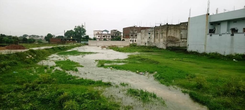 तीन दिन बाद फिर सक्रिय हुआ मानसून, हुई झमाझम बारिश