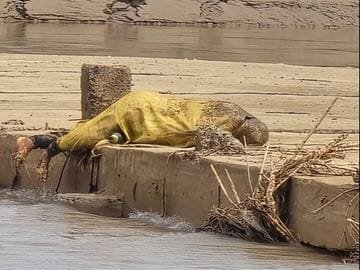 क्वारी नदी पर तिरपाल में लिपटा शव बहकर आया, 18 से 22 साल की है मृतका युवती