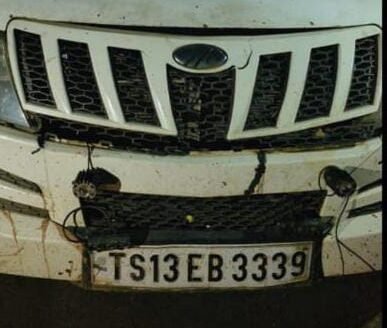 लग्जरी कार से गोवंश की तस्करी 