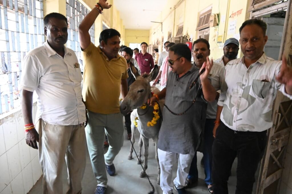 गधों के साथ कांग्रेस पार्षदों का अनोखा प्रदर्शन, नपा अध्यक्ष-सीएमओ को सौंपना चाहा प्रतीकात्मक ‘भेंट’