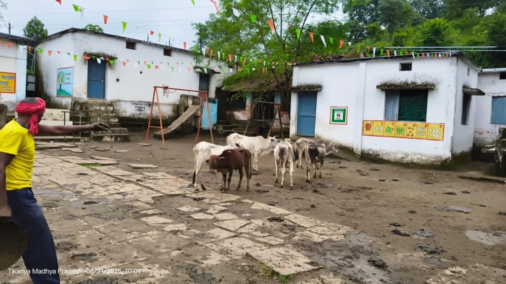 आवारा पशुओं पर बड़ी कार्यवाही, फूलसागर गौशाला में पहुँचाए गए मवेशी