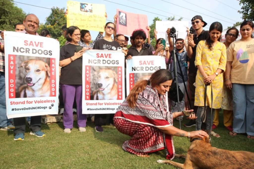 SC के आदेश के खिलाफ भोपाल में डॉग लवर्स का प्रदर्शन