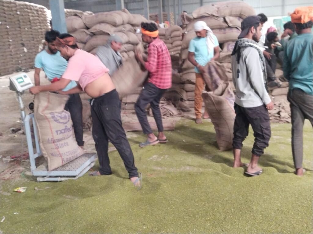मूंग खराब होने व खरीदी बंद होने से अनाज मंडी में कम दाम मिलने की चिंता किसानों को सता रही