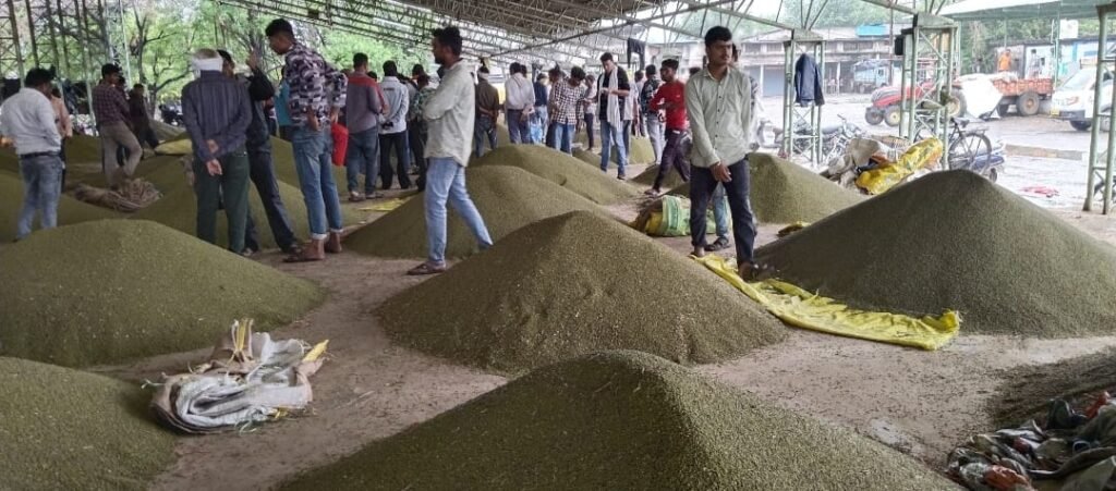 आखिरी दिन 130 किसानों से हुई खरीदी