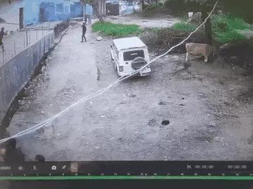 मुरैना में फायरिंग, पथराव और लाठियां चलीं, महिला घायल