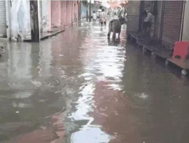 श्योपुर में घुसा सीप नदी का पानी, बाजार-बस्तियां जलमग्न