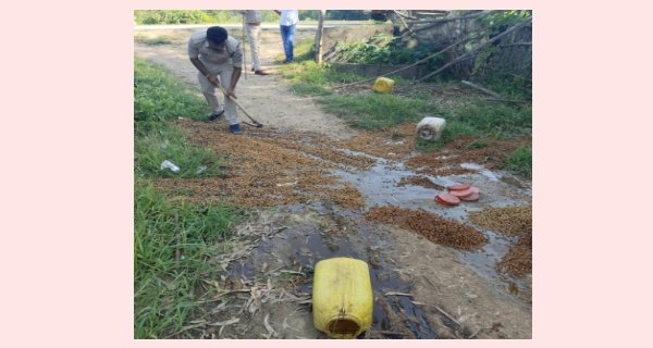 देशी शराब के लिए रखा 5 क्विंटल महुआ लाहन जब्त