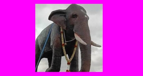 हथिनी माधुरी को वनतारा से वापस नंदनी मठ भेजने की मांग उठी, दिया ज्ञापन