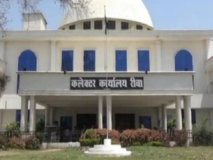 रीवा में रोजगार मेले की तैयारी, 10 हजार हितग्राहियों को मिलेगा लाभ