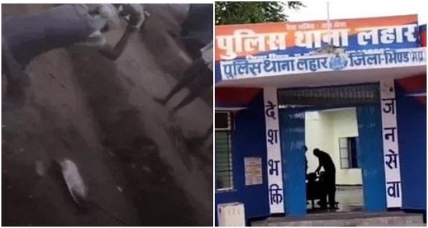 भिंड में कुल्हाड़ी से काटा विशाल कछुआ, ग्रामीणों ने मांस की दावत उड़ाई, वन विभाग की टीम पहुंची गांव