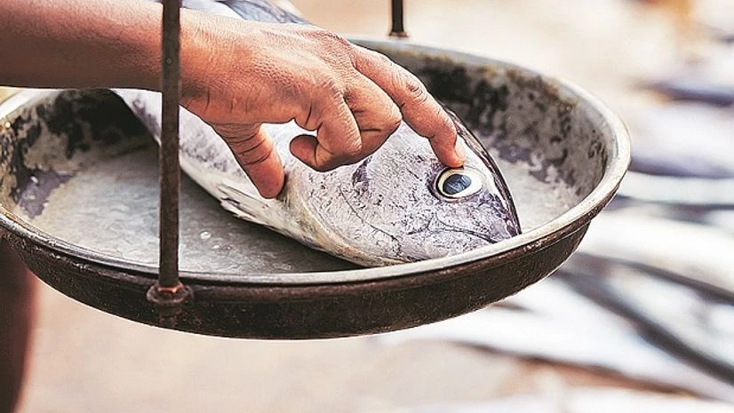 यूरोपीय संघ ने भारत के 102 मत्स्य प्रतिष्ठानों को मान्यता दी, समुद्री निर्यात में विस्तार होगा