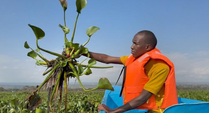 भारत, केन्या और अमेरिका के तीन पर्यावरण उद्यमियों को यूएनईपी का शीर्ष पुरस्कार