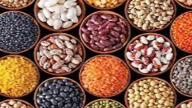 दालों के उत्पादन पर बड़ा काम: मध्य प्रदेश सहित 4 राज्यों में दलहन फसलों पर जोर