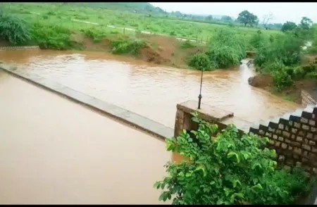 वीरपुर का बांध हो रहा ओवरफ्लो, पानी के निकासी के रास्ते पर अतिक्रमण