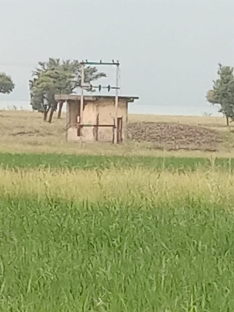 5 साल से बिना लाइट के आ रहे बिल, ग्राम पंचायत कर रही भुगतान
