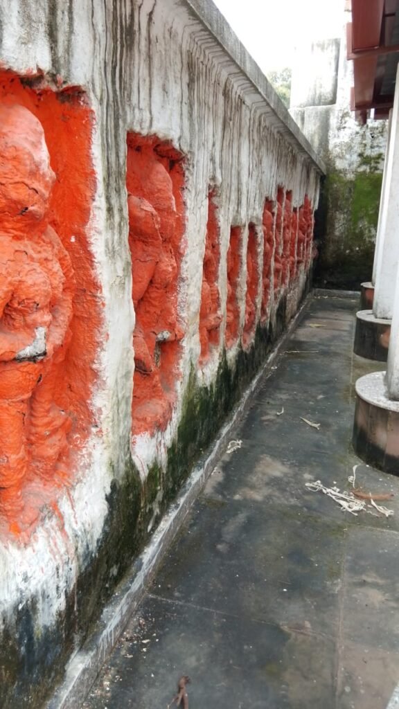 बागली का सीता वन: धार्मिक महत्व से परिपूर्ण, फिर भी राम वन गमन खोज से उपेक्षित