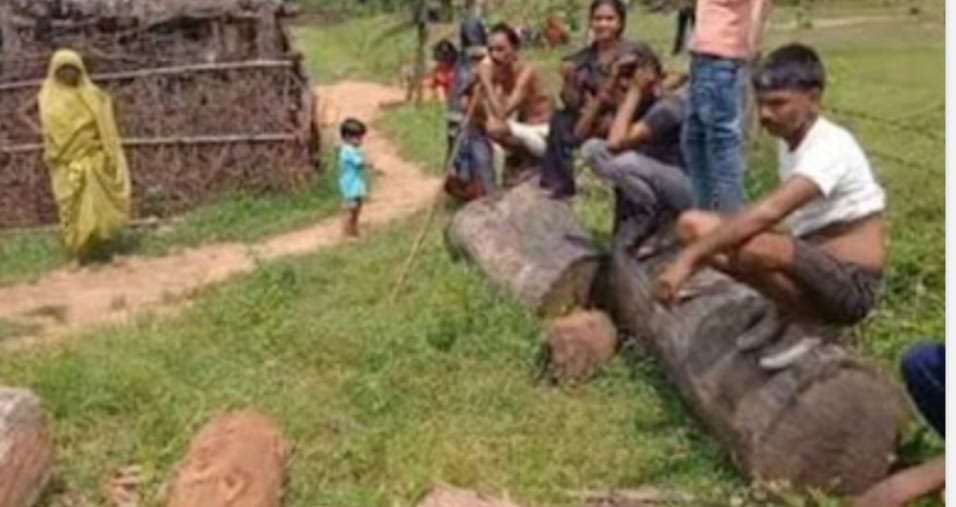 अवैध लकड़ियों के जखीरा की जांच करने गई वन टीम पर हमला