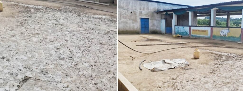 ग्राम पंचायत निगरी में गौशाला कार्यों में गड़बड़ी के आरोप
