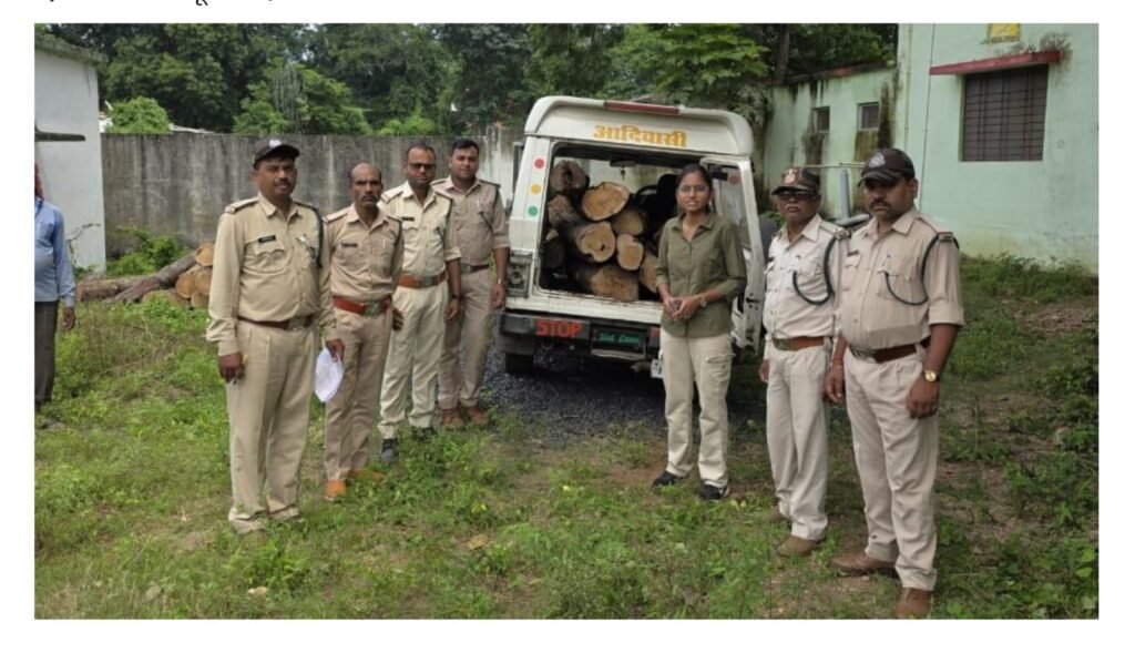 वन अमले ने बैतूल मार्ग से जब्त किया 12 नग सागौन के लट्ठे