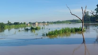 दिन भर ढूंढने के बाद भी SDRF को नहीं मिला बाढ़ में बहा युवक