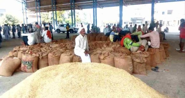 सांसद सहित 272 किसानों का पुराना भुगतान अटका, नए उपार्जन की तैयारी शुरू