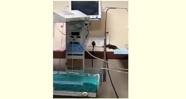 एमवाय की बदहाली का जिम्मेदार कौन …?