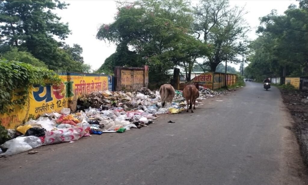 मुख्य मार्ग पर कचरा हो रहा डंप, दुर्गंध से लोग परेशान